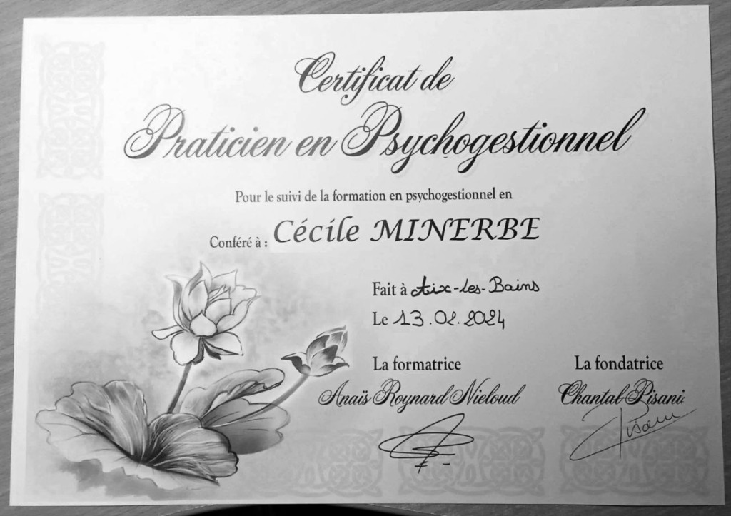 photo diplome MINERBE