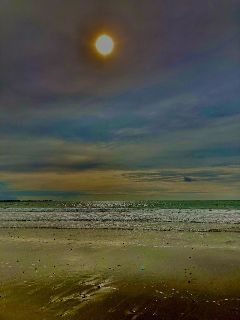 photo activite Céline Gâté Piaut ArtSweeT