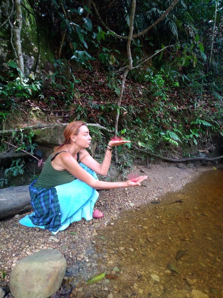 photo seance Lotus Azure 