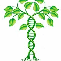 photo cabinet Priscilla Tenedor 