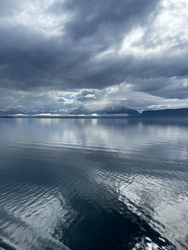 photo cabinet SOPHIE ALBAREDE