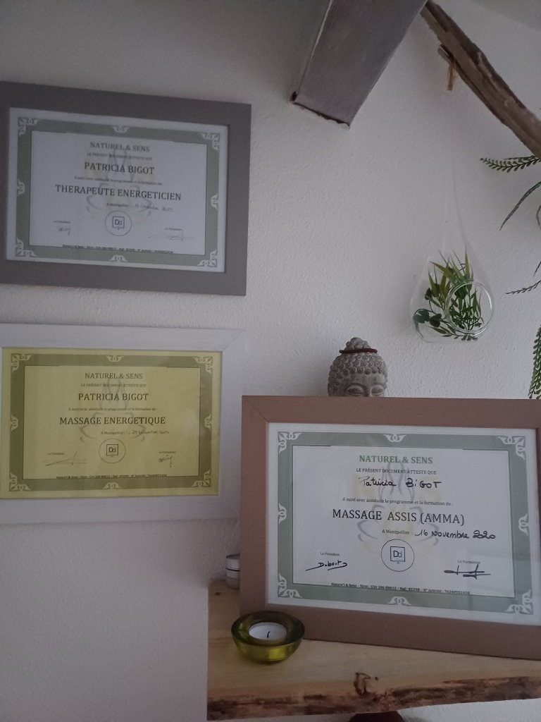 photo diplome L’ESSENTIEL ÉNERGÉTIQUE