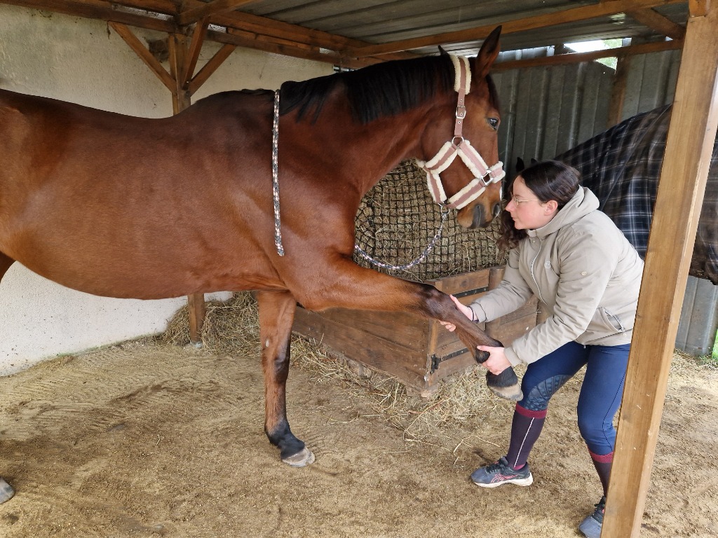 photo activite Mazarine WEIBEL