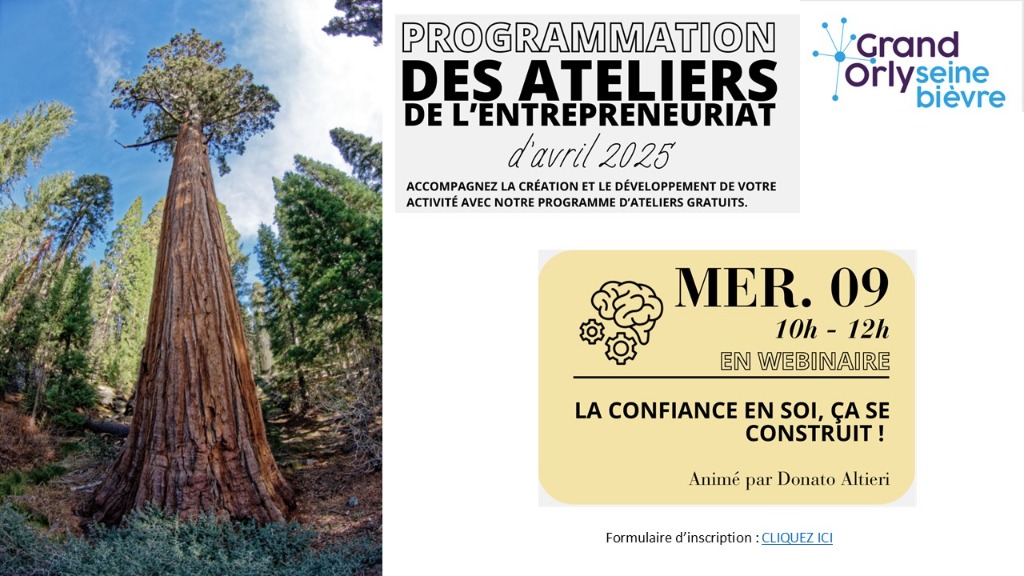 photo activite Donato ALTIERI