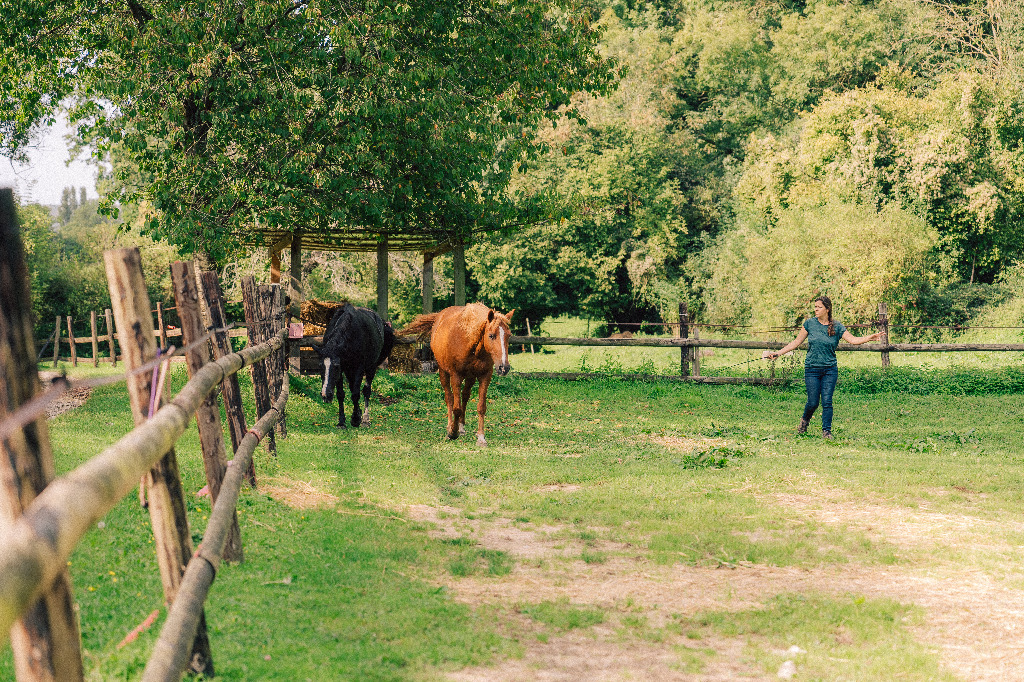 photo seance Stéphanie PRIME - Regards Pluriels Equicoaching