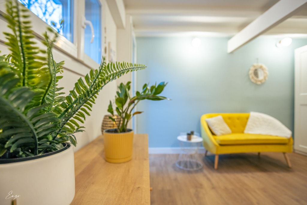 photo cabinet HEMERY JULIE