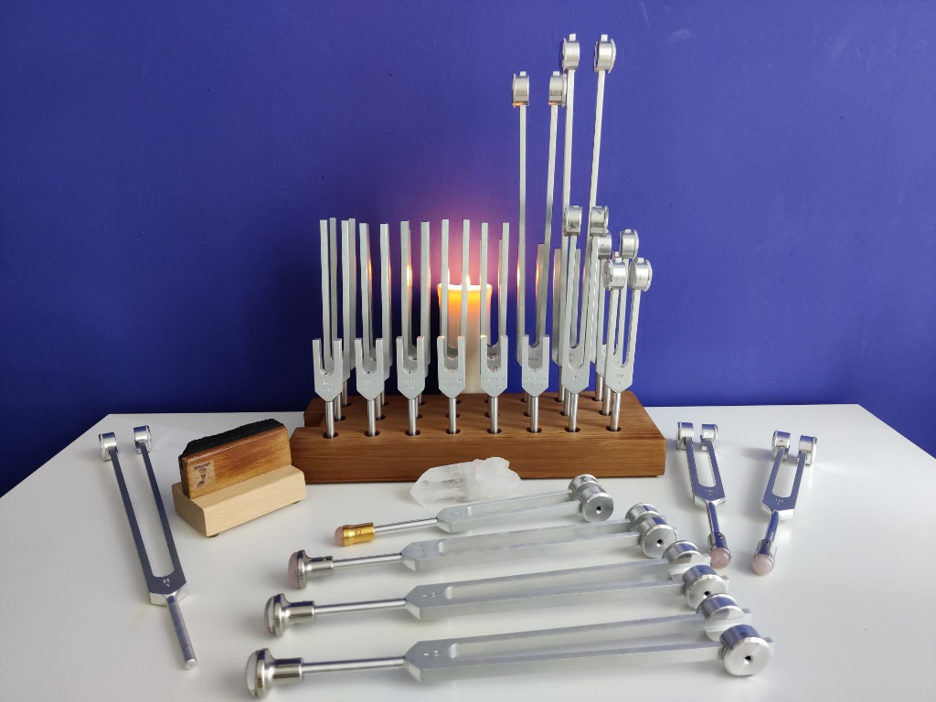 photo activite La Voix Bleue