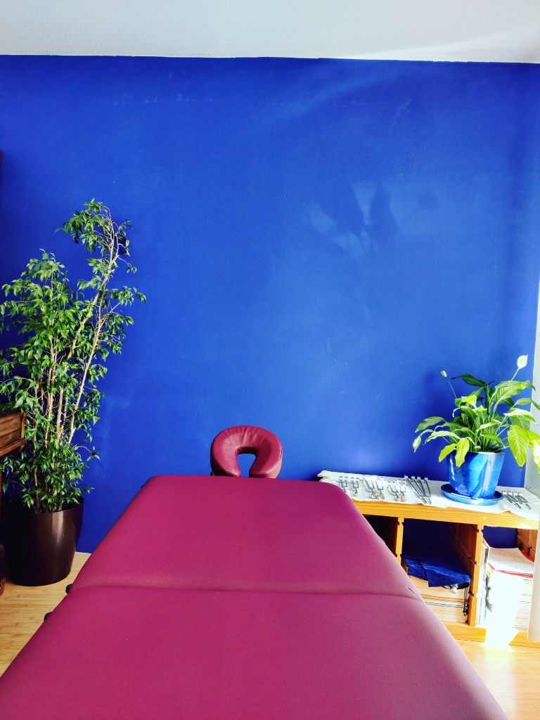 photo cabinet La Voix Bleue