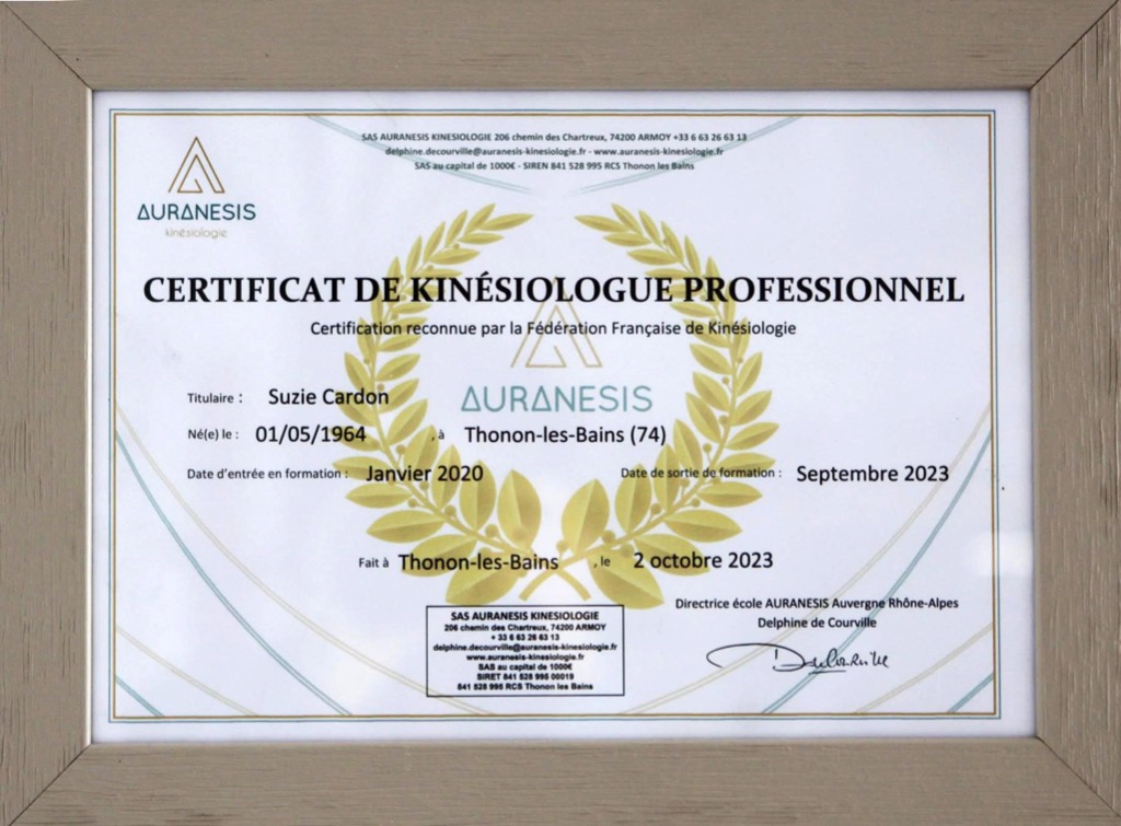photo diplome Koudpouss Kinésiologie