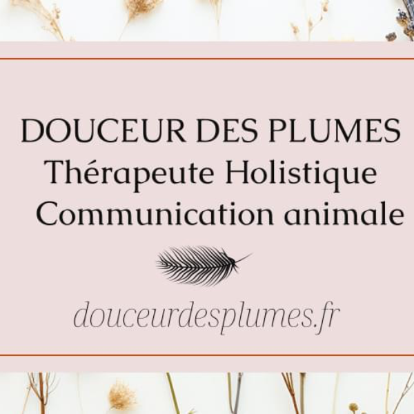 Douceur des plumes 