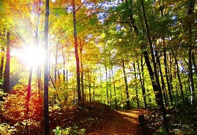 photo activite EMILIE GUILLET