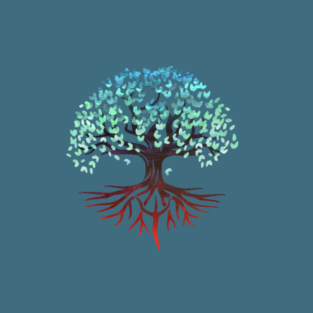 photo activite Sergio Dello-Russo