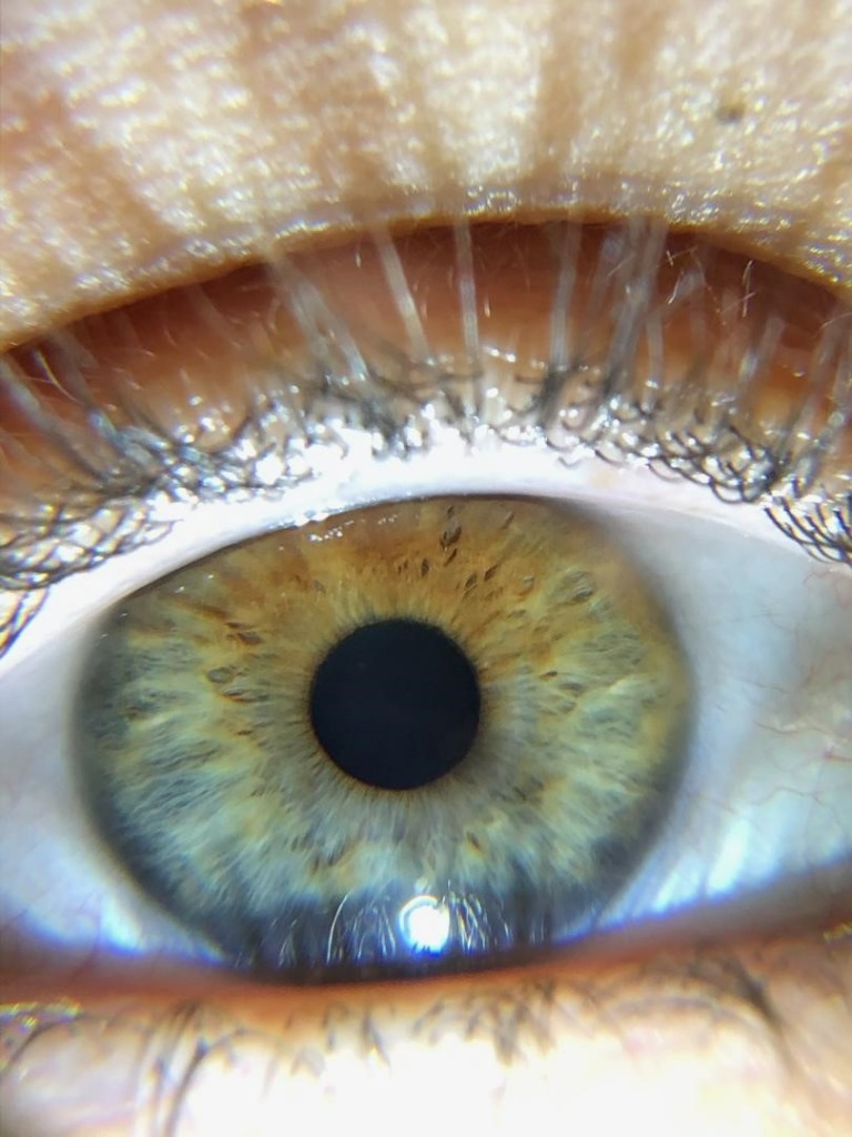 photo activite Laurence Lion Naturopathe