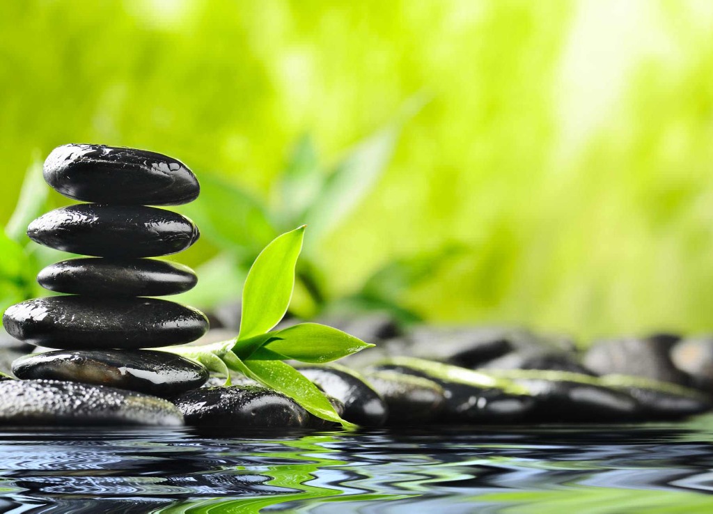 photo portrait Manana Alawé Kraoul