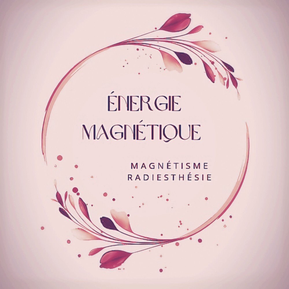 photo activite ENERGIE MAGNETIQUE