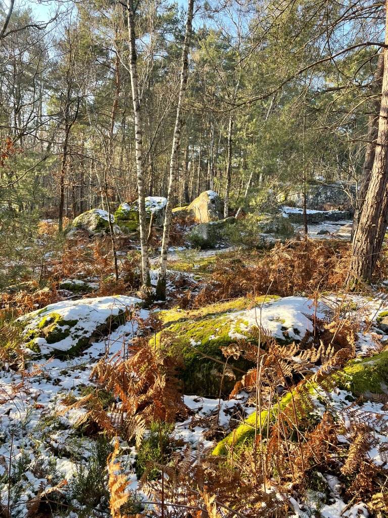 photo cabinet Stephanie Vougier