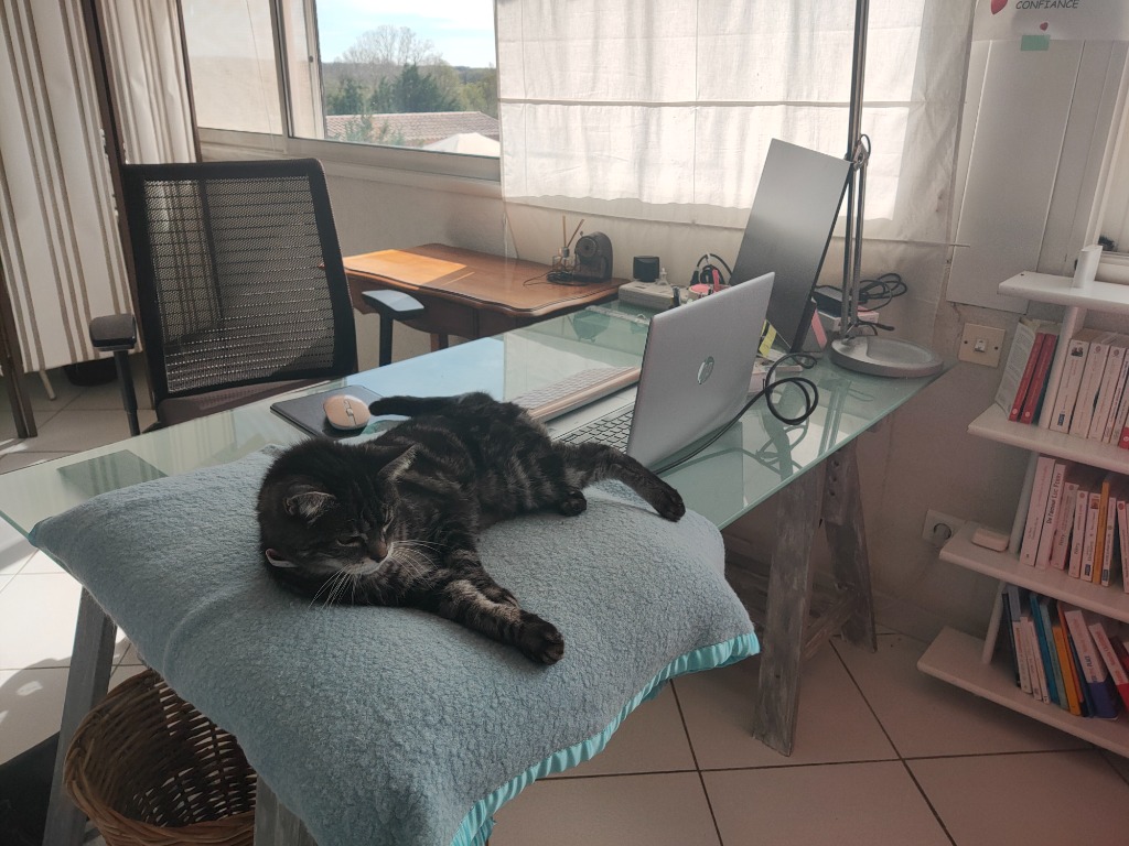 photo activite Véronique GRALEPOIS