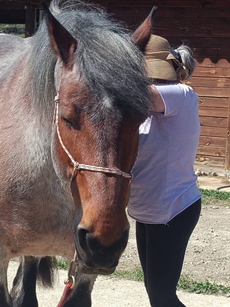 photo activite Hélène bos