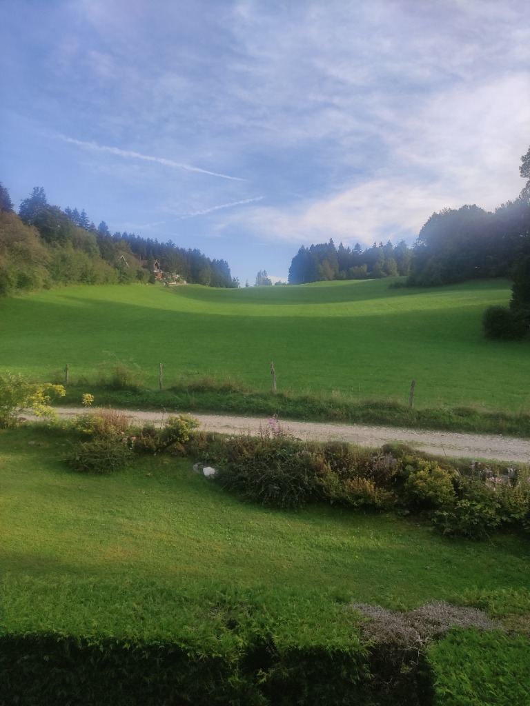 photo cabinet David Capodagli