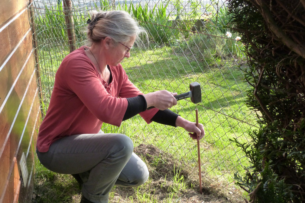 photo portrait Stéphanie CREPIN Harmonisation