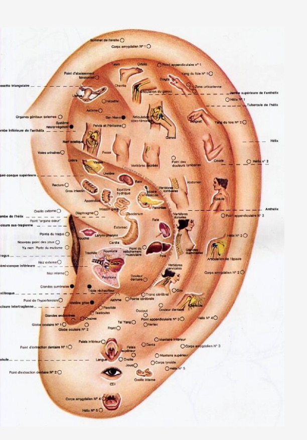 photo activite STOP TABAC MARSEILLE
