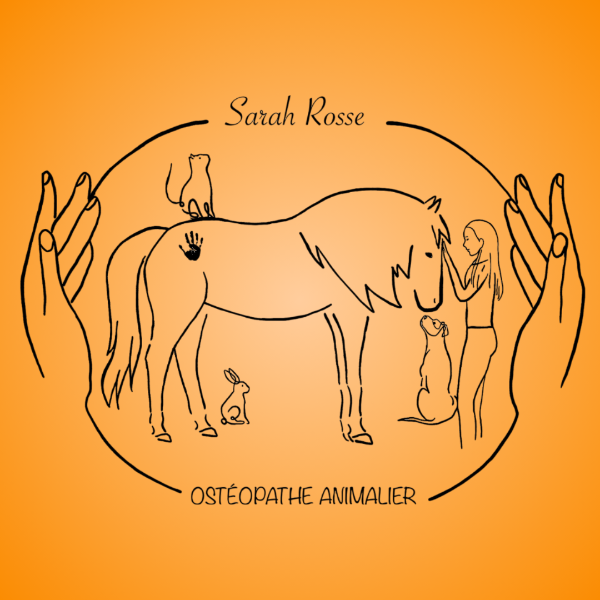 Sarah Rosse - Ostéopathe animalier 
