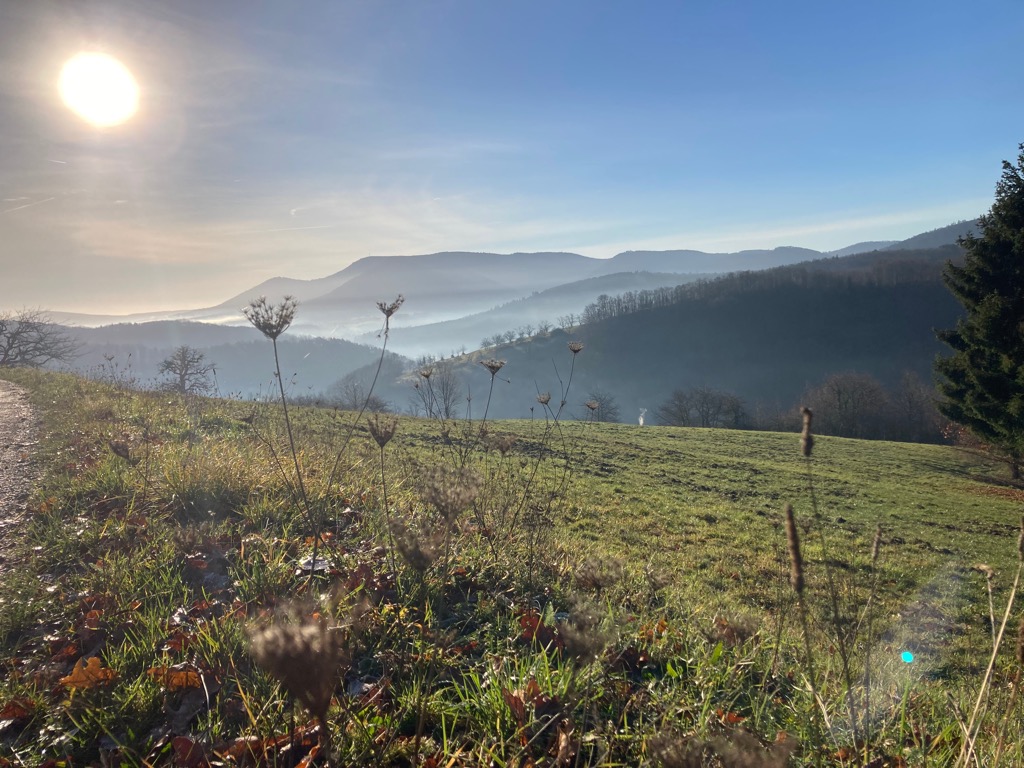 photo cabinet Agathe Jacob