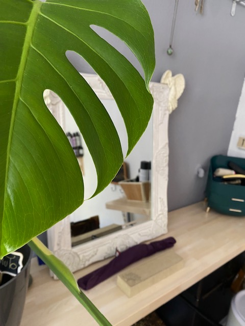 photo seance Pixie energie