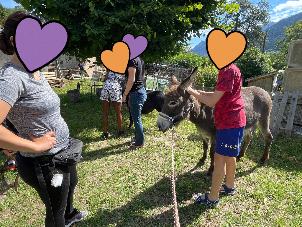 photo cabinet Panser Animal 