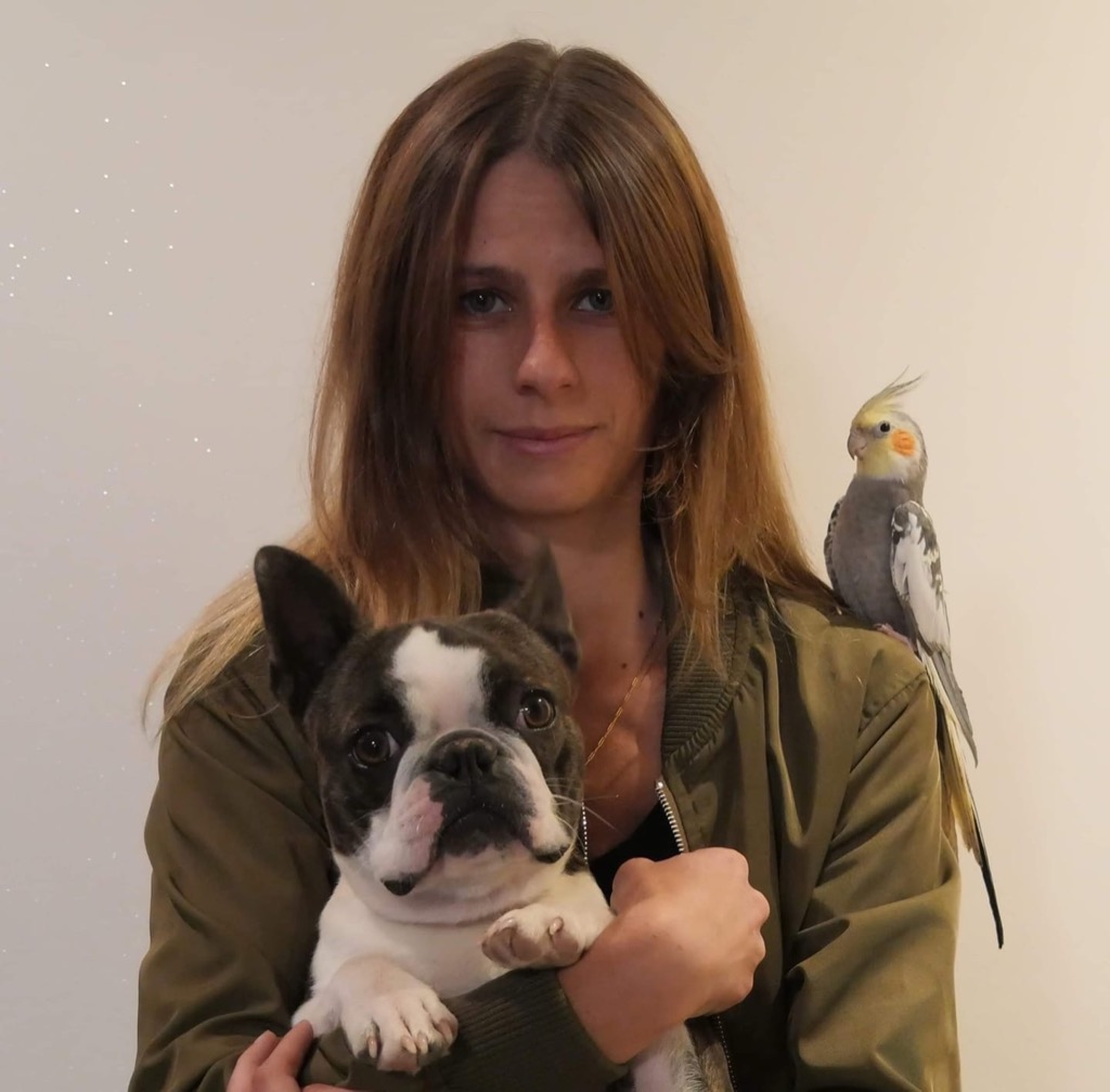 photo portrait Panser Animal 