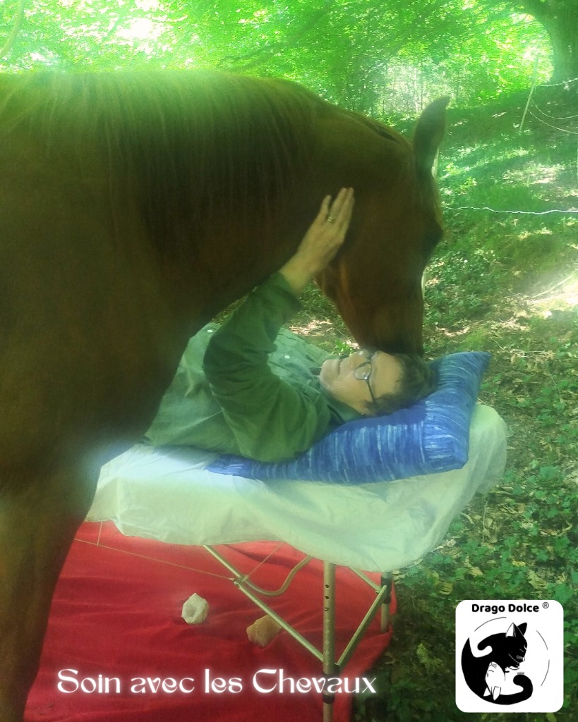photo seance Eva ~ Drago Dolce