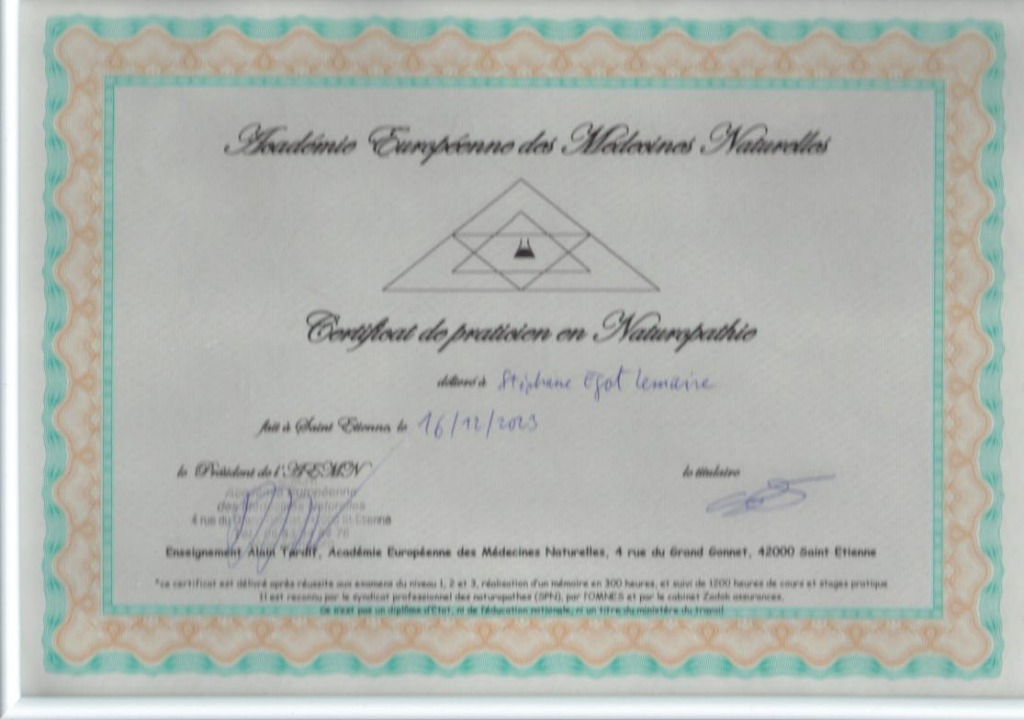 photo diplome Stéphane Egot-Lemaire