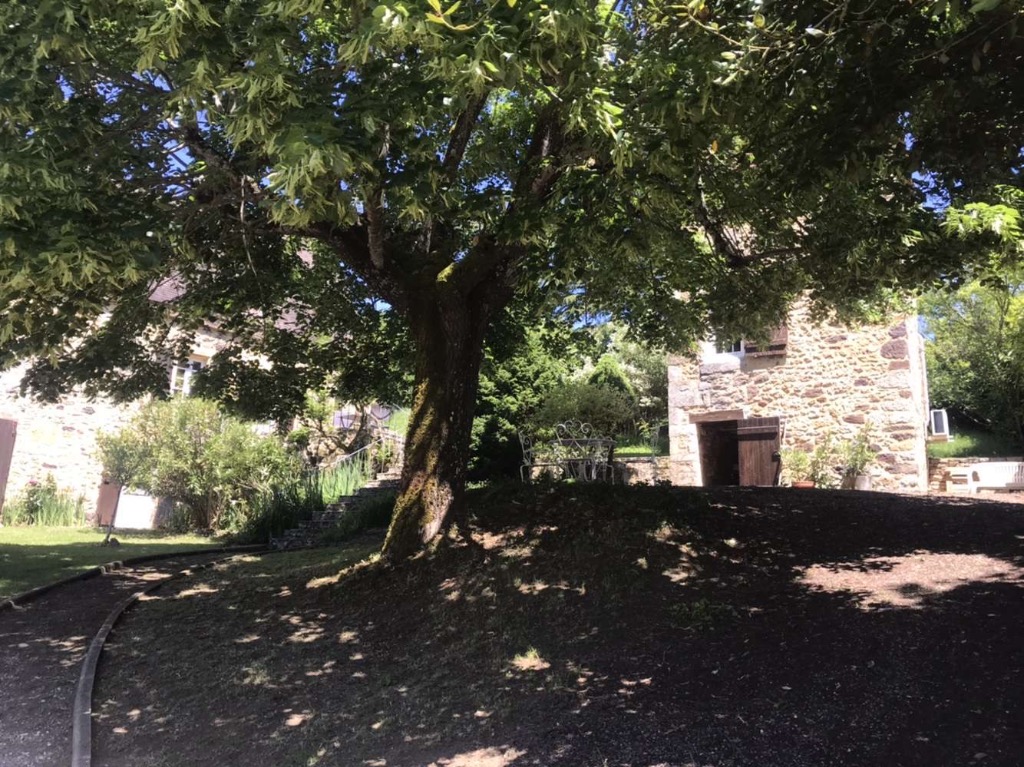 photo cabinet Camille Bonnin