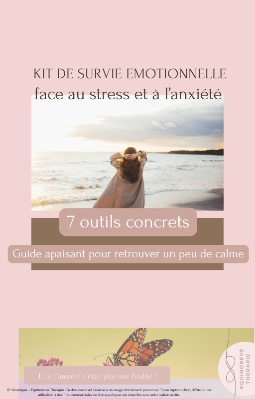 photo cabinet Equinoreve Thérapie