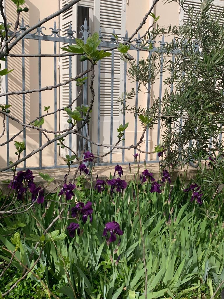 photo cabinet Corinne Mignard