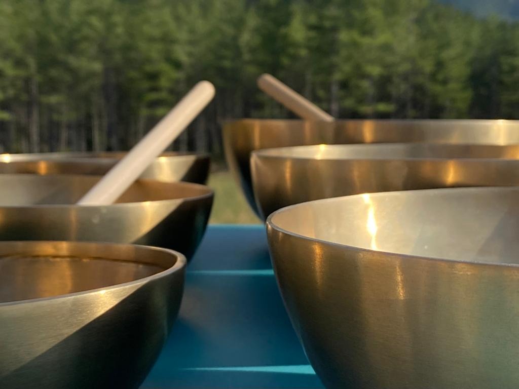 photo diplome Annie Mulot