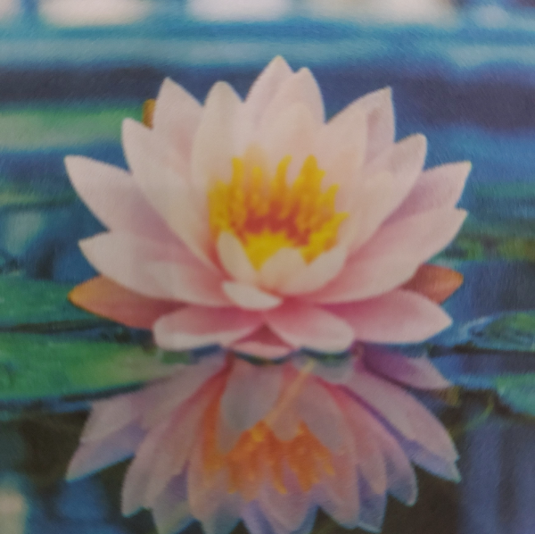 Bulle Céleste Véronique HERVIER