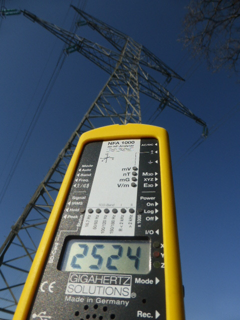 photo activite Geobiologuepro.fr