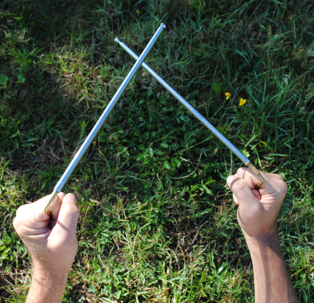 photo diplome Geobiologuepro.fr