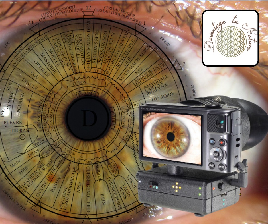 photo activite Davantage ta Nature - Valérie HEITZ