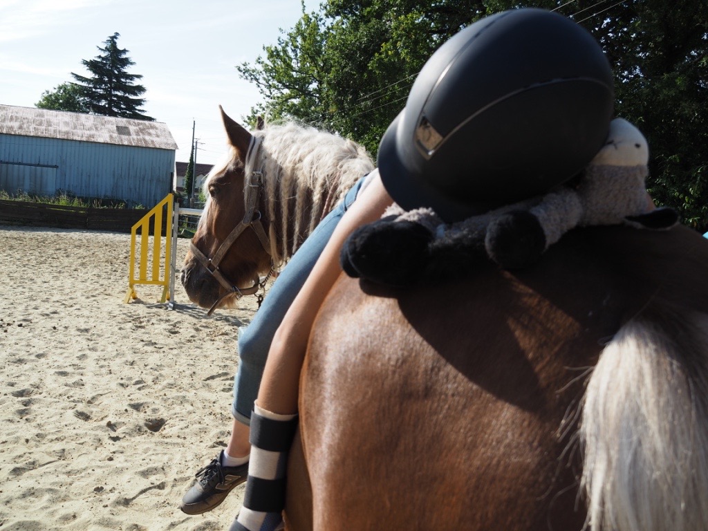 photo seance Vayson Equithérapie