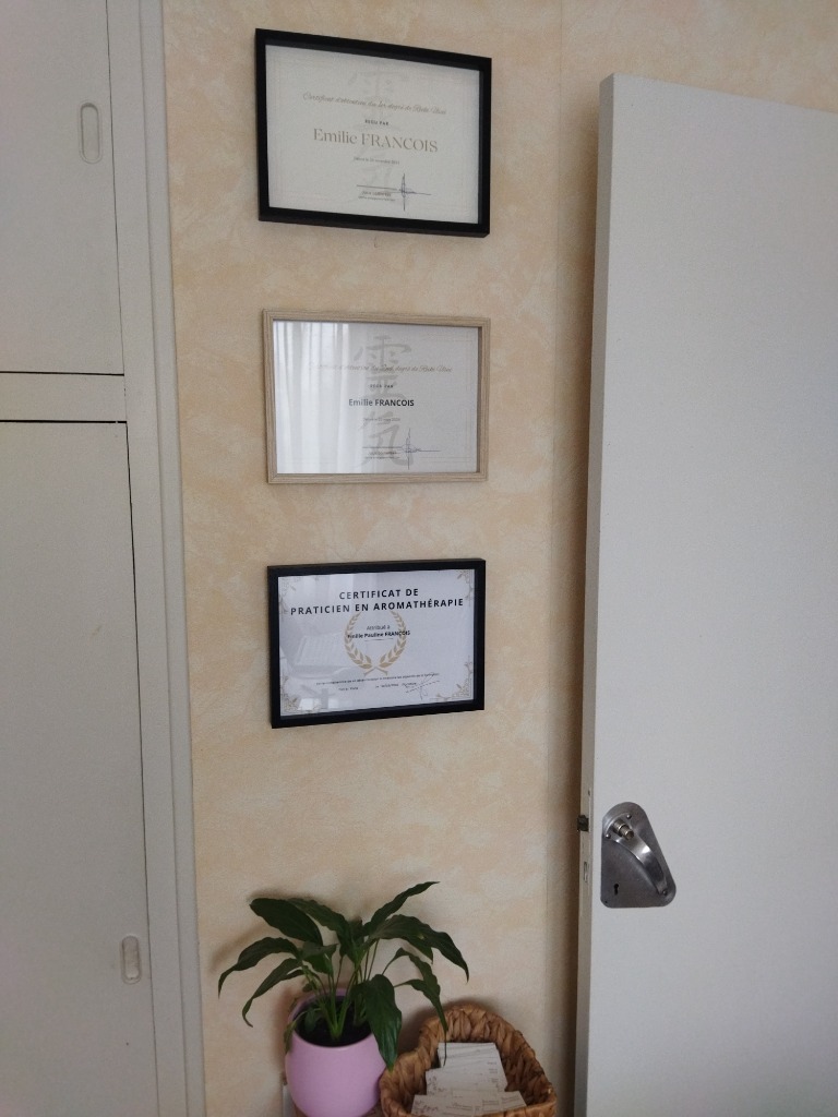 photo diplome Emilie Pauline FRANCOIS