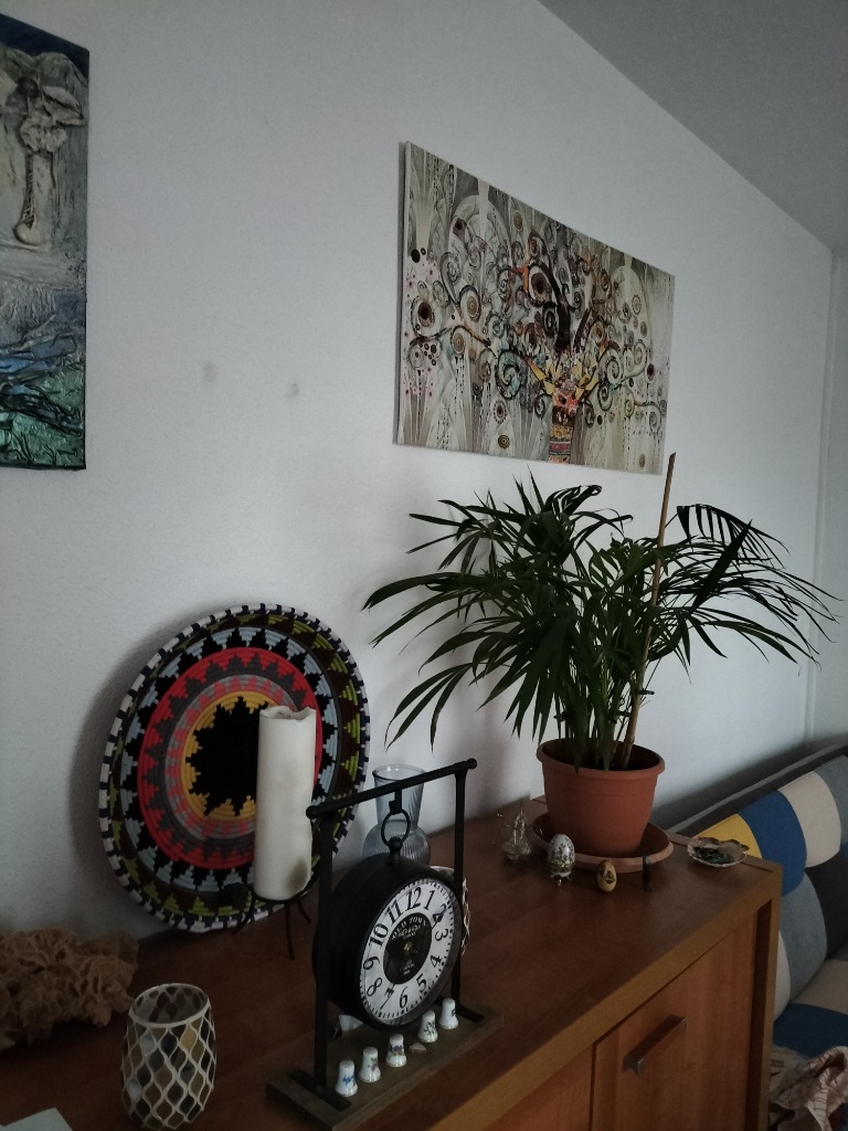 photo seance Agnes Brun