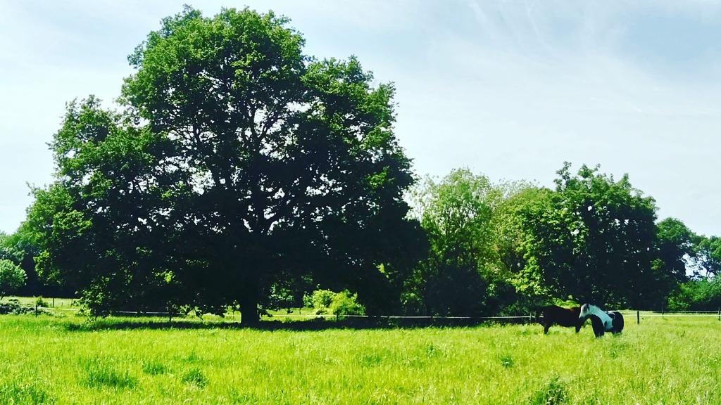 photo cabinet Lucile jacquet