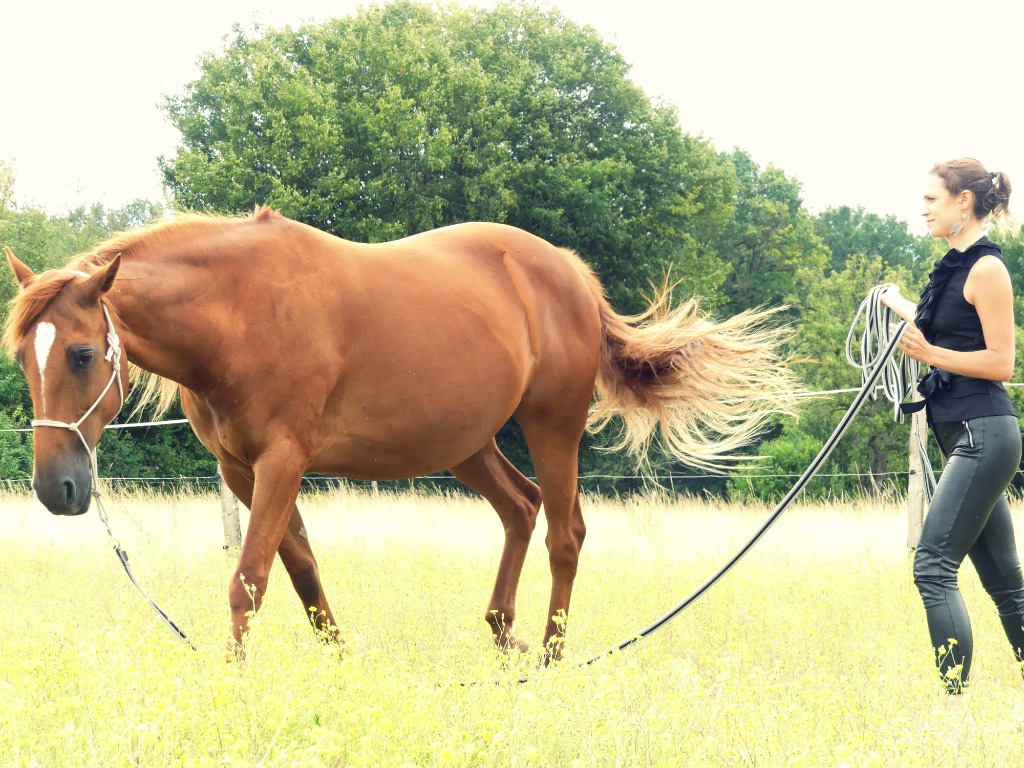 photo seance Lucile jacquet