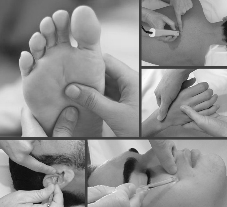 photo seance CHENEVIER Sylvie