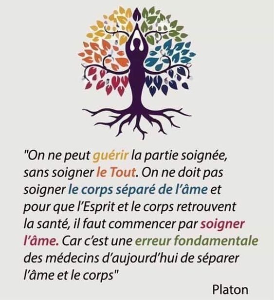 photo cabinet Farida CHEIKH NOISELET