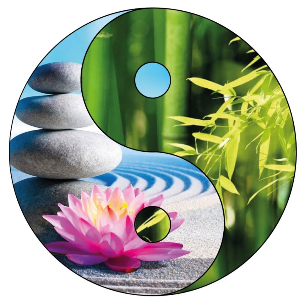 photo activite Shiatsu Yasmina Cobelli 