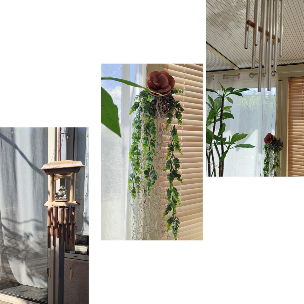 photo activite Bouveron Caroline