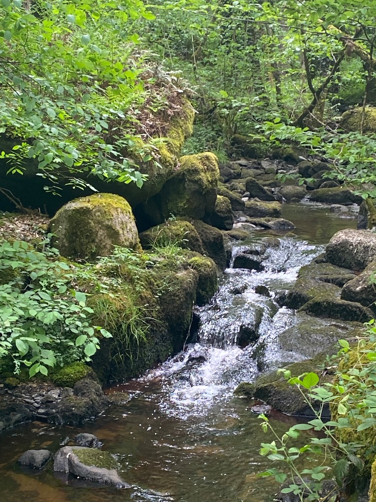 photo activite Murielle Larrivé 